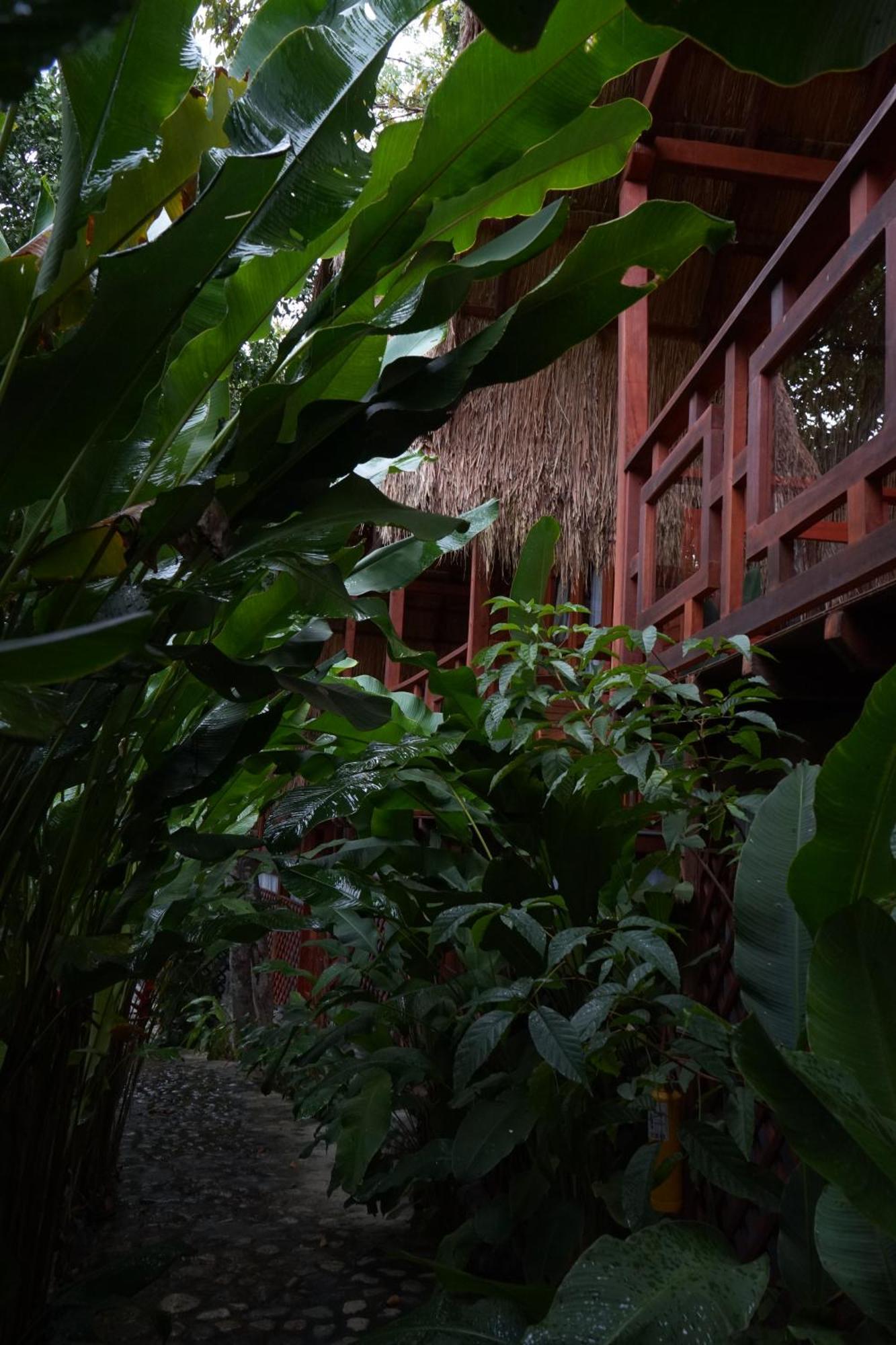 Bio Rio Hotel San Jerónimo Buitenkant foto